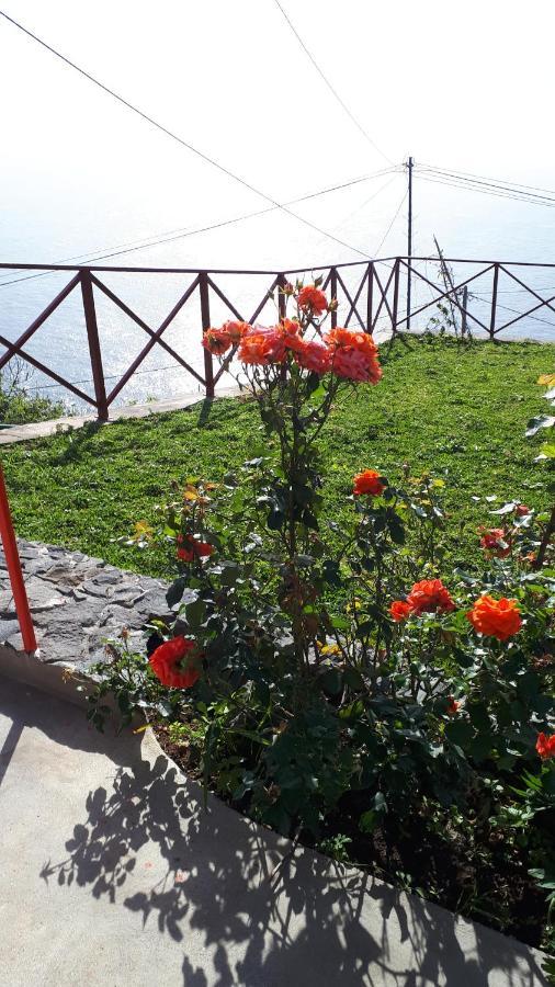 Casa Villa Dinastia Sotao Y Casa Villa Dinastia Miramar Ribeira Brava Exterior photo