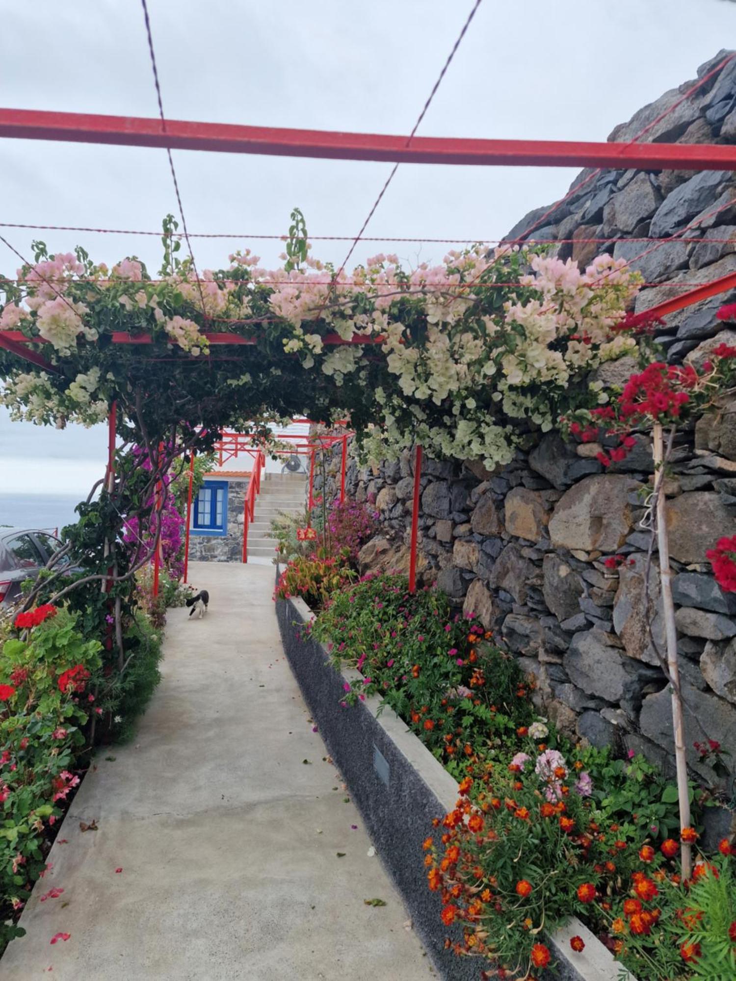 Casa Villa Dinastia Sotao Y Casa Villa Dinastia Miramar Ribeira Brava Exterior photo